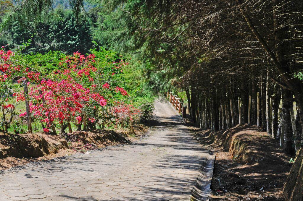 Pousada Sol Da Montanha Jardim Sun Valley Екстер'єр фото